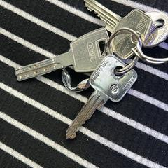 Sleutelbos, amint azt az iLostnak jelentették.