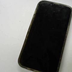 Iphone, a été signalé par Walibi Holland utilisant iLost