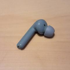 Oortje Grijs-blauw, zoals gemeld door LUMC met iLost