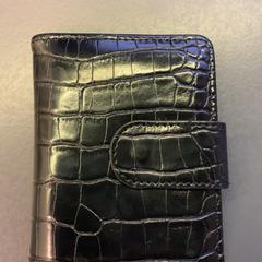 Peněženka Kropiwiec, jak nahlášeno Eindhoven Airport pomocí iLost