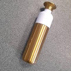 Botila, gisa salatu by Dolfinarium iLost erabiliz