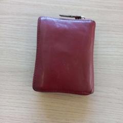 Carteira Sangi Silva, como reportado por Arriva West-Brabant utilizando o iLost