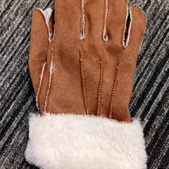 قفاز Bruin، كما تم الإبلاغ عنه بواسطة Arriva Vechtdallijnen عبر iLost