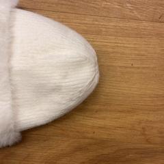 Muts, zoals gemeld door GVB met iLost