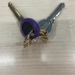 Clau Paars hanger, segons ha informat IKEA Eindhoven mitjançant iLost