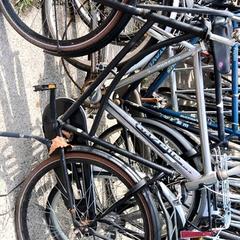 Zwarte opoefiets، كما تم الإبلاغ عنه بواسطة Stadswerk072 عبر iLost