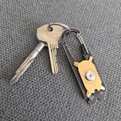 Sleutelbos, iLost에 보고됨