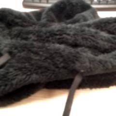 Beanie Zwart, jak nahlášeno Qbuzz Fryslân pomocí iLost