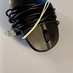 Topo, come riportato da Padualaan 99 utilizzando iLost