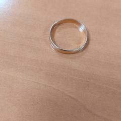 Ring, zoals gemeld door ibis Schiphol Amsterdam Airport met iLost