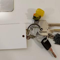 Schlüssel -bos, gemeldet von Centraal magazijn über iLost