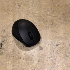 Myš Zwart, jak nahlášeno Van der Valk Hotel Zwolle pomocí iLost