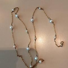 Ketting، كما تم الإبلاغ عنه بواسطة LUMC عبر iLost