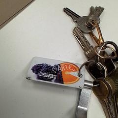 Claus, segons ha informat ilévia mitjançant iLost