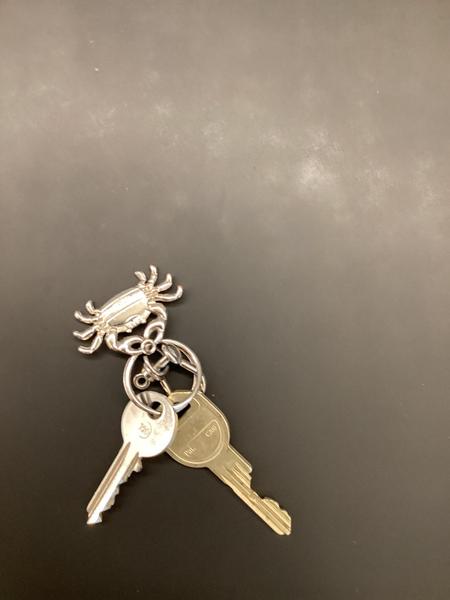Keychain Sleutelhanger krab
