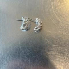 Oorbellen Zilver, zoals gemeld door Burgers' Zoo met iLost