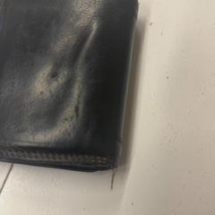 Brieftasche Arnold, gemeldet von GVB über iLost