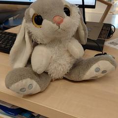 İLost kullanarak IKEA Toulouse tarafından bildirildiği gibi Douxou lapin