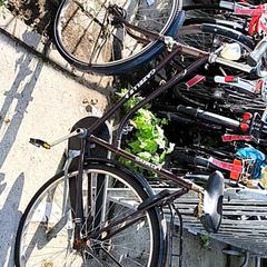 Pánsky bicykel gazelle, ako bolo nahlásené Stadswerk072 pomocou iLost