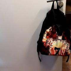 Bag, som rapportert av Qbuzz ZHN ved bruk av iLost