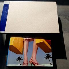 Bok, rapporterat av Arriva Friesland / Groningen med iLost