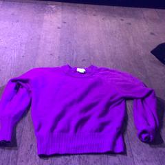 Trui Paars, zoals gemeld door De Heeren van Aemstel met iLost