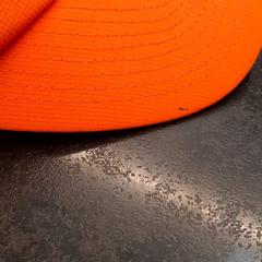 Cappellino da baseball & Cap, come riportato da Rotterdam The Hague Airport utilizzando iLost
