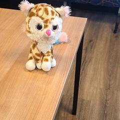 Knuffel, zoals gemeld door RRReis Veluwe Zuid - Ede met iLost