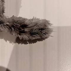 Plüss, amint azt De Efteling az iLost segítségével jelentette.