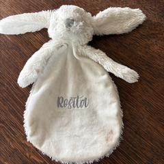 Knuffel, as reported to iLost