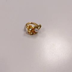 Ring, zoals gemeld door Vrije Universiteit Amsterdam met iLost