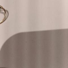 Ring, zoals gemeld door De Efteling met iLost