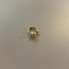 Ringe, som rapportert av Fenix ved bruk av iLost