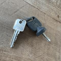 Sleutels, segons s'ha informat a iLost