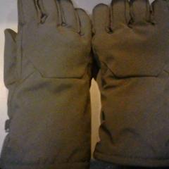 Gants, a été signalé par SnowWorld Landgraaf utilisant iLost