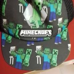 İLost kullanarak Apenheul tarafından bildirildiği gibi Pet Minecraft