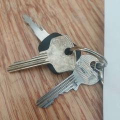 Llavero sleutels+sleutelhanger, ha sido reportado por Gemeente Zeist con iLost