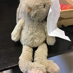 İLost kullanarak Qbuzz U-OV tarafından bildirildiği gibi Oyuncak ayı