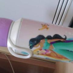 Bottiglia MET ALLEMAAL DISNEY PRINCESSEN, come riportato da Het Spoorwegmuseum utilizzando iLost