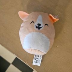 Knuffel, segons ha informat Familie Resort Molenwaard mitjançant iLost