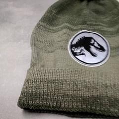 Kappe Groen, som rapportert av Arriva Friesland / Groningen ved bruk av iLost