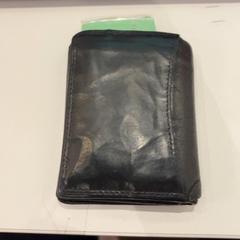 İLost kullanarak Pathé de Kuip tarafından bildirildiği gibi Cüzdan Sabastiaan Fred