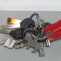 Sleutelbos, zoals gemeld door Gemeente Utrecht met iLost