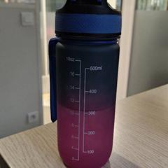 Gourde, zoals gemeld door Keolis Seine Maritime met iLost