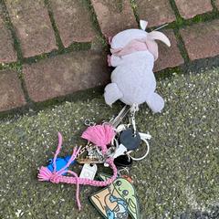 Sleutelbos, gerapporteerd met iLost