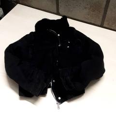 Jacket, as reported by Arriva Oost-Brabant using iLost