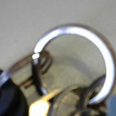 Nyckelring, rapporterat av Walibi Holland med iLost