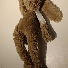 Knuffel Konijn, como reportado por IKEA Groningen utilizando o iLost