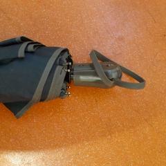 折り畳み傘 bleu marine がiLostで TCL によって報告されました