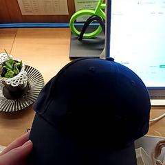 Pet, zoals gemeld door BOAT&CO met iLost